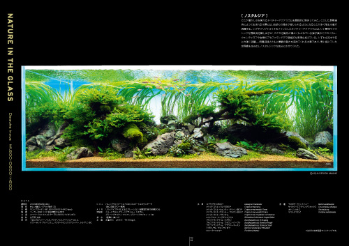 ち*た様 ADA 商品カタログ12冊 1993年〜 （アクアジャーナル1巻