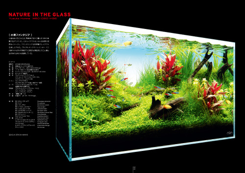 月刊アクアジャーナルVol.324 発売のお知らせ | ADA - NEWS RELEASE