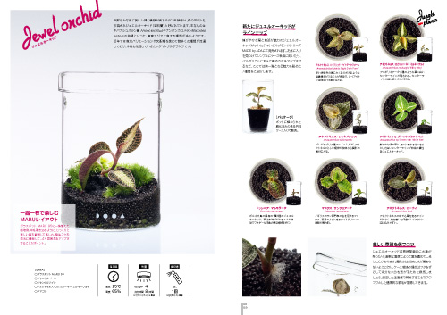 専用ADA アクアジャーナルvol.101~179 (80冊) 専用ADA アクア