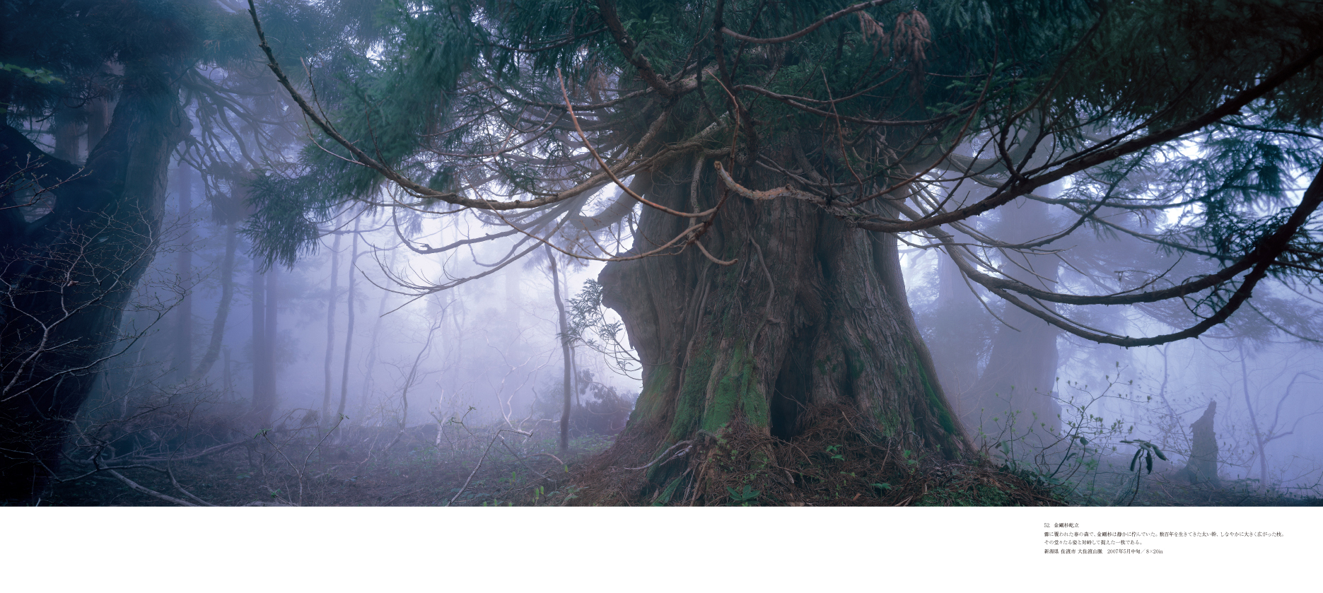 天野 尚 没後10年追悼企画 ］ 大判フィルム写真集 TAKASHI AMANO L