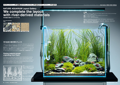 ADA 雲山石 XL 水槽用レイアウト石 置くだけ簡単！】30cmキューブ水槽