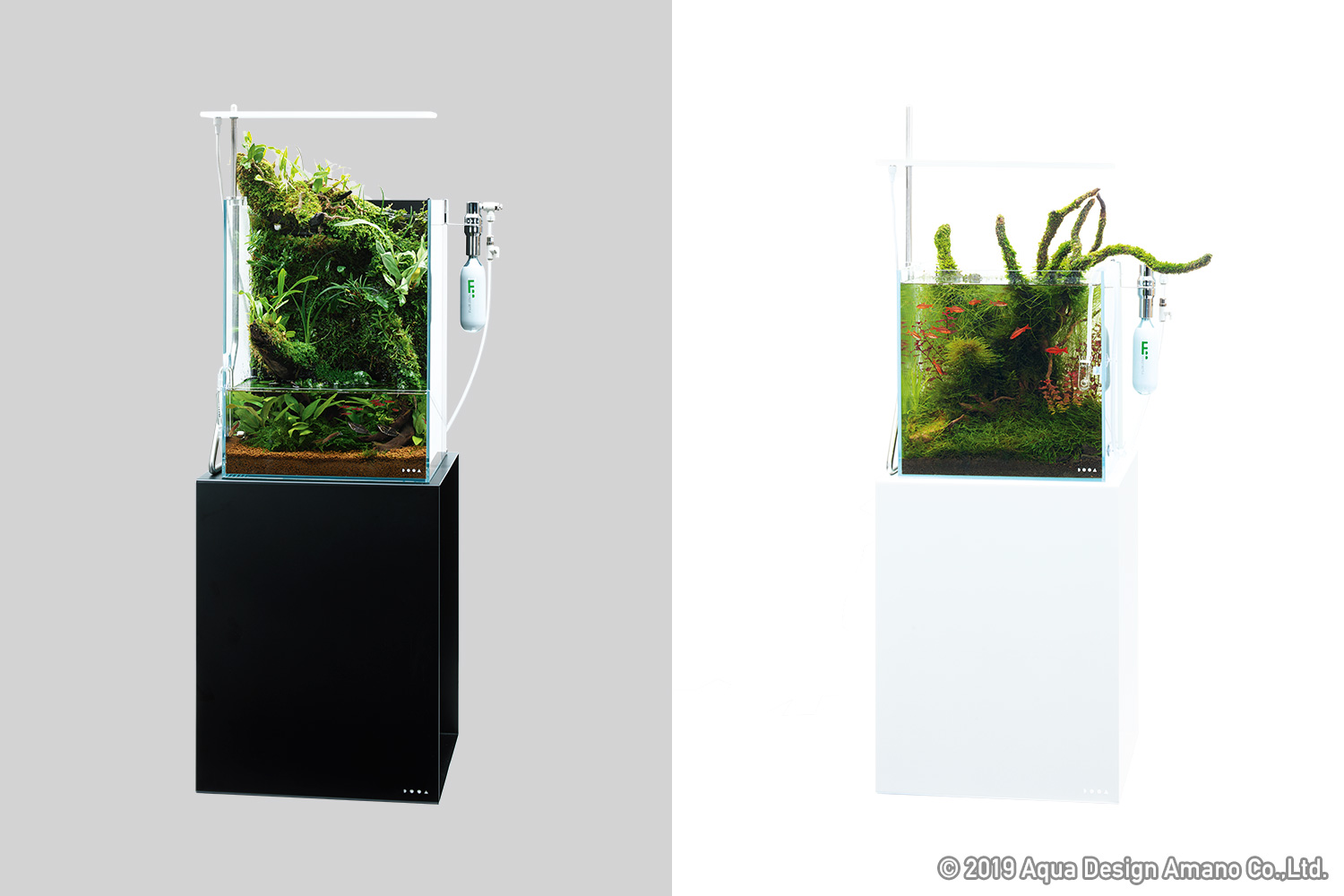 Do!aqua 水槽、水槽台 DOOA システムスタンド 35 発売のお知らせ | ADA