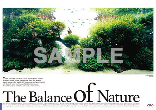 Balance of Natureポスター発売のお知らせ | ADA - NEWS RELEASE