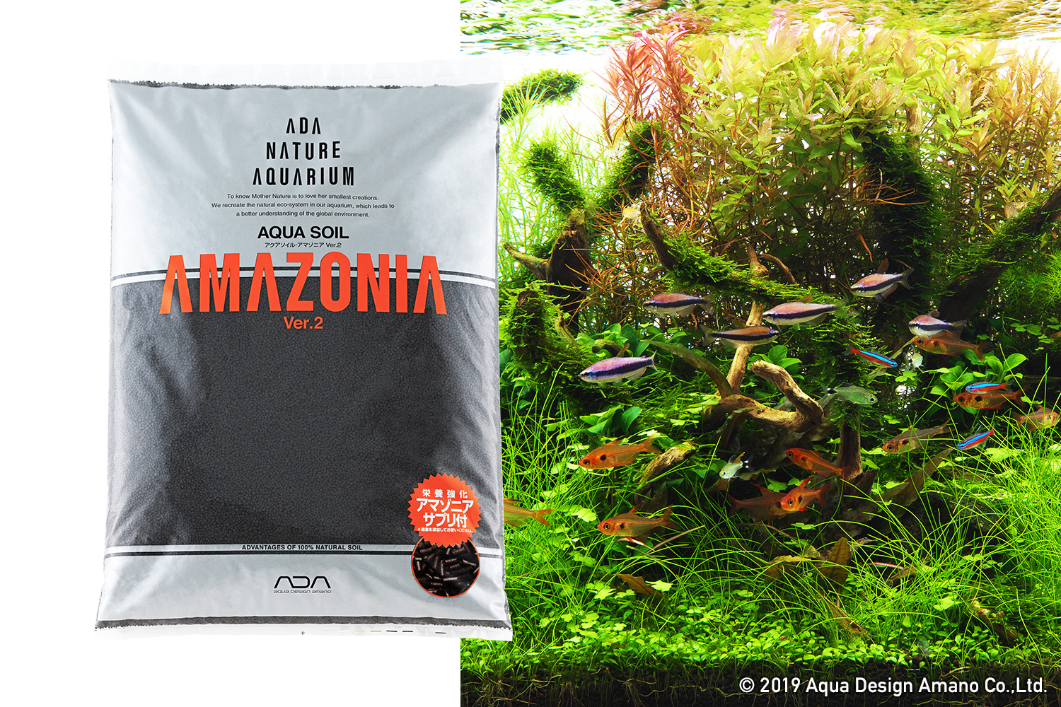 アクアソイル-アマゾニア Ver.2 発売のお知らせ | ADA - NEWS RELEASE