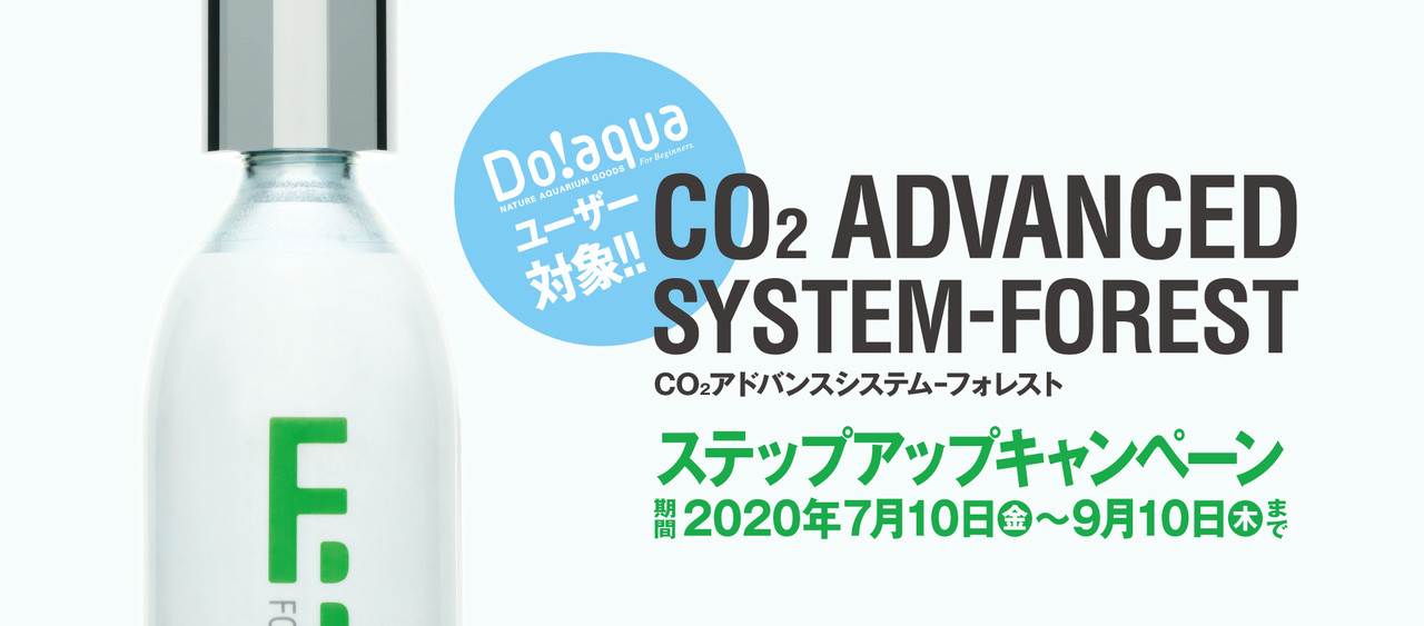 CO2アドバンスシステム-フォレスト ステップアップキャンペーン実施中