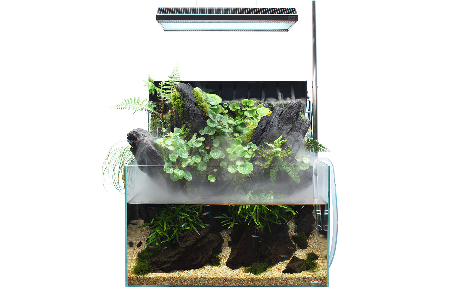 moonADAキューブガーデン60cm アクロTRIANGLE moonADAキューブガーデン