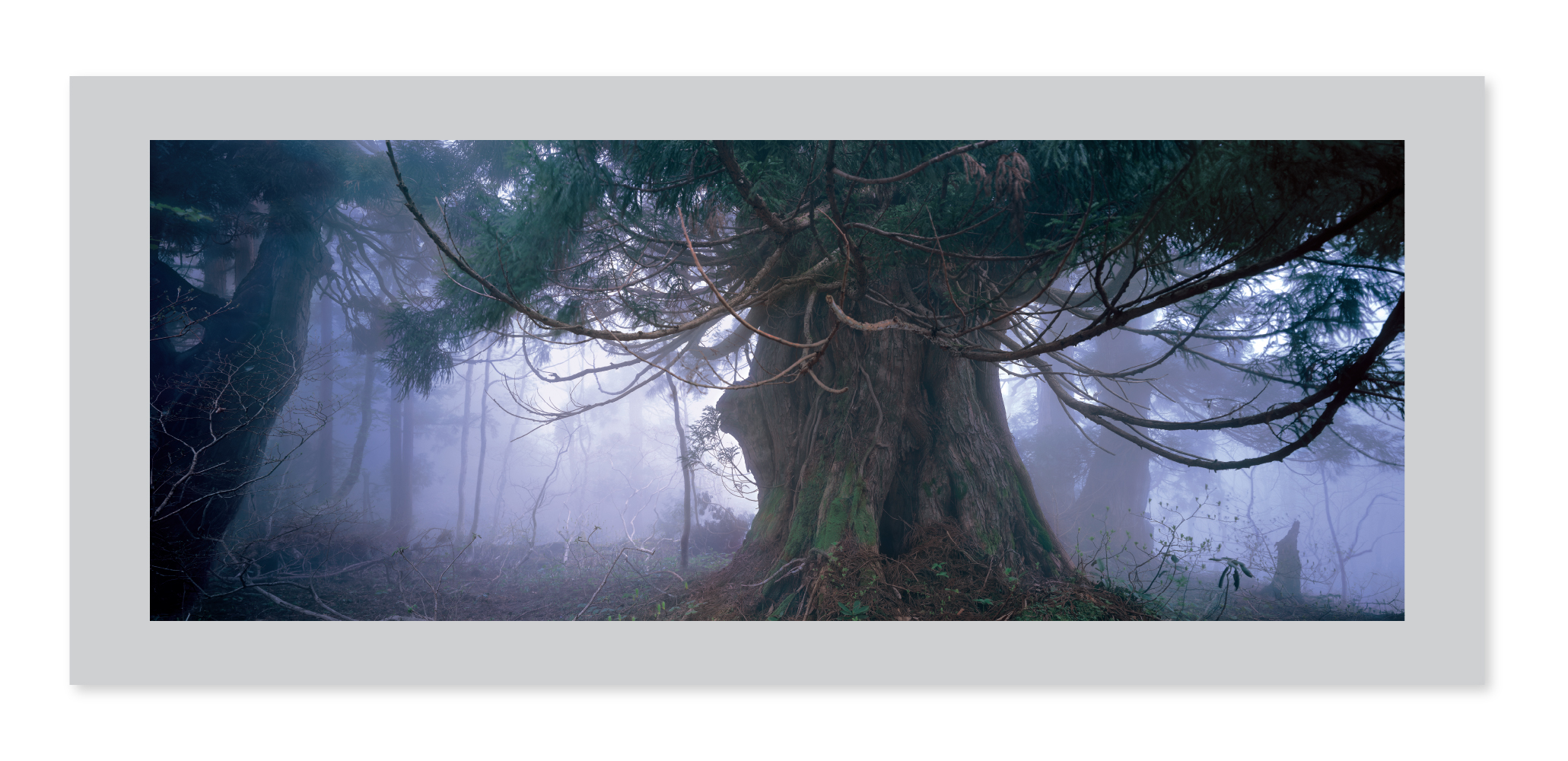 天野 尚 没後10年追悼企画 ］ TAKASHI AMANO L PHOTOGRAPHY EXHIBITION