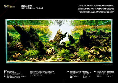月刊アクアジャーナルVol.291 発売のお知らせ | ADA - NEWS RELEASE