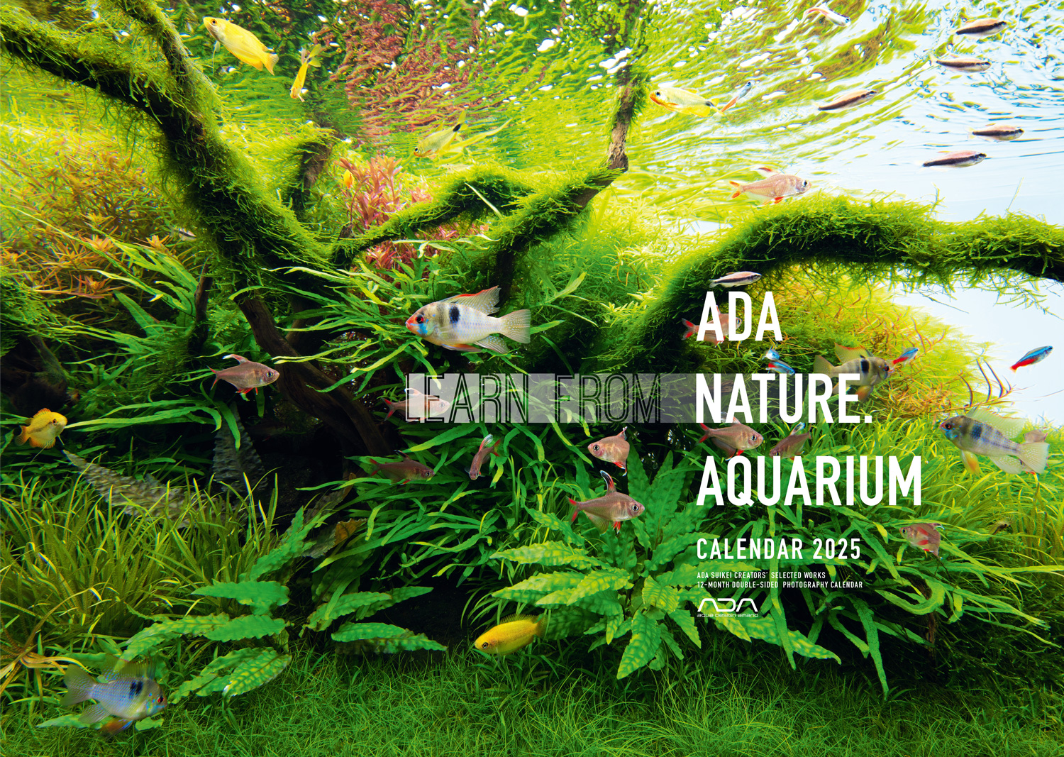 Announcement of the Release of the Nature Aquarium Calendar 2025