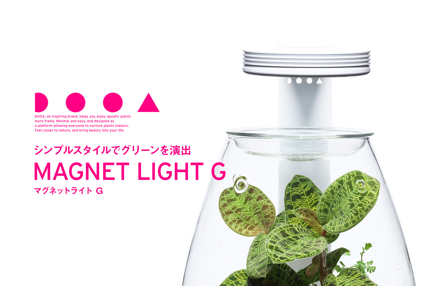 DOOA マグネットライト Gと専用スタンド 発売のお知らせ | ADA - NEWS
