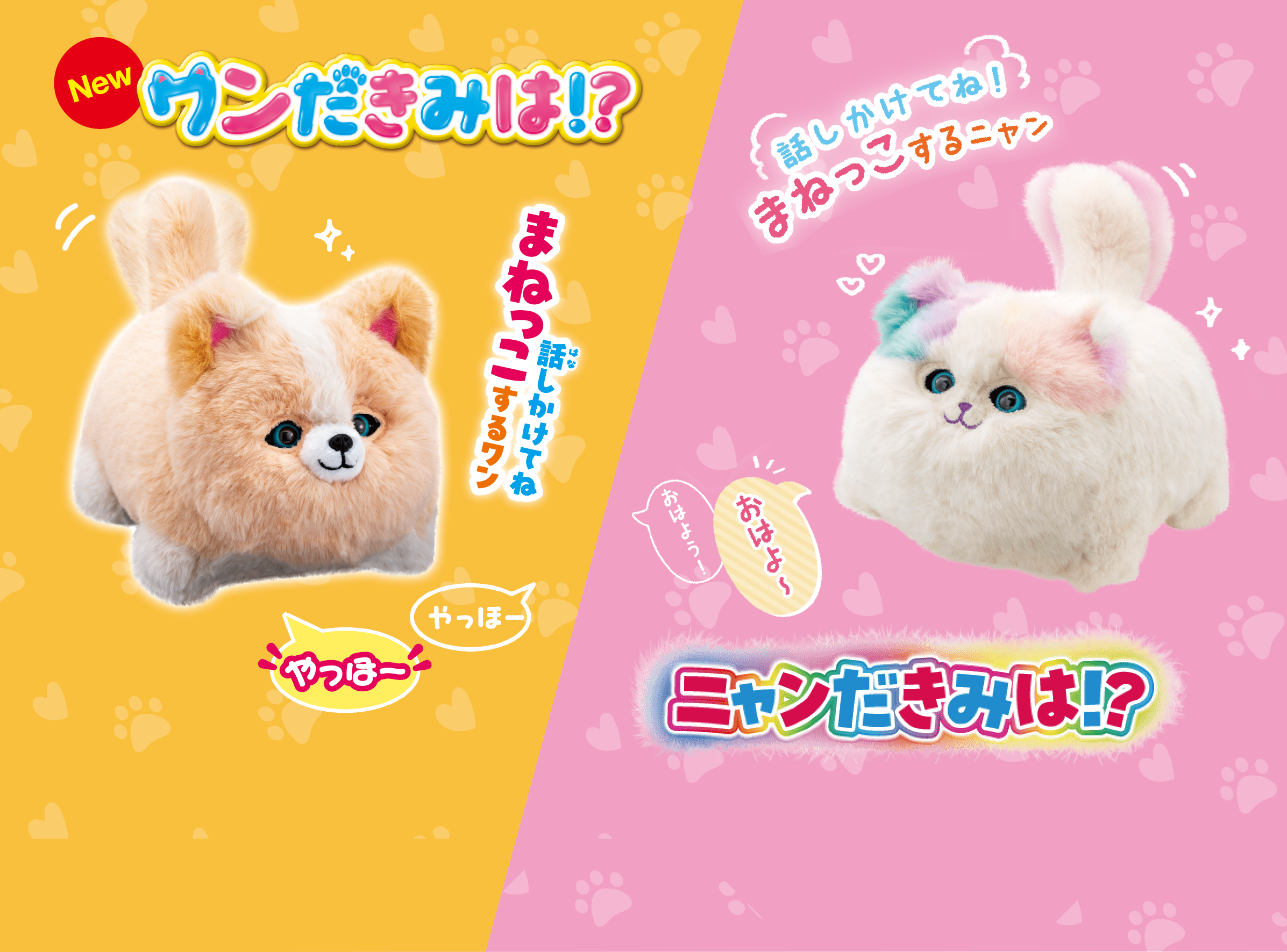 ニャンだきみは！？ ワンだきみは！？｜PINOCCHIO｜株式会社アガツマ