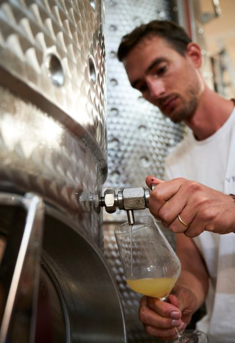 ヴェニッサ（VENISSA） | BELLA LUPA