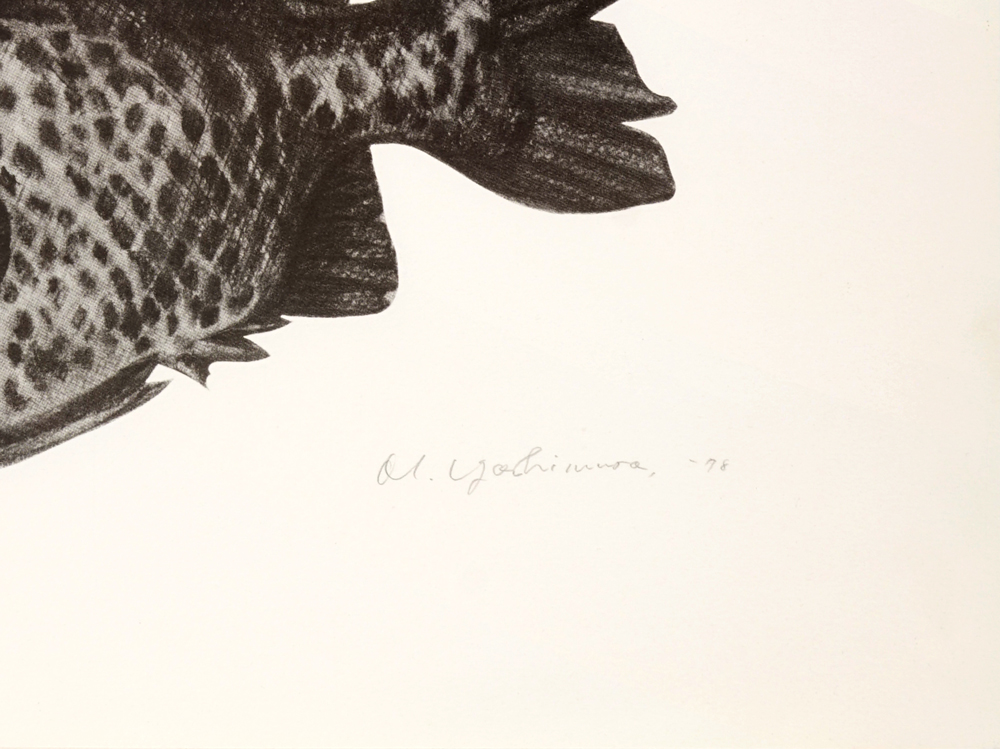 兒嶋画廊 -Gallery Kojima-