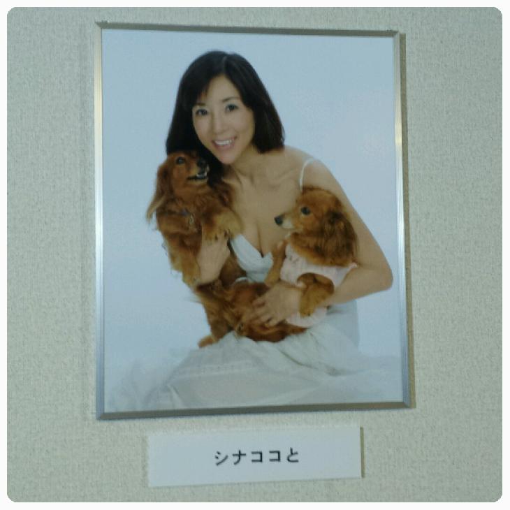 お知らせ(心よりご冥福をお祈りいたします。)｜カニンヘンダックス