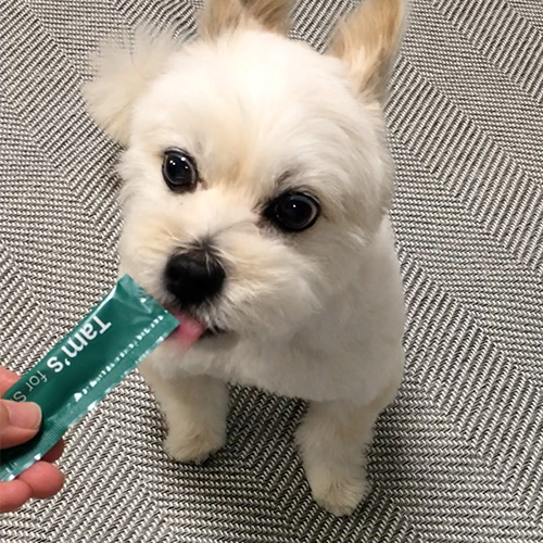 tam's おなかと皮膚のサプリメント CZGDTAM1-00 | ソノタゲンセン