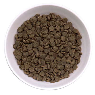 キアオラ キャット カンガルー KAORKKC1-00 | キアオラ | GREEN DOG