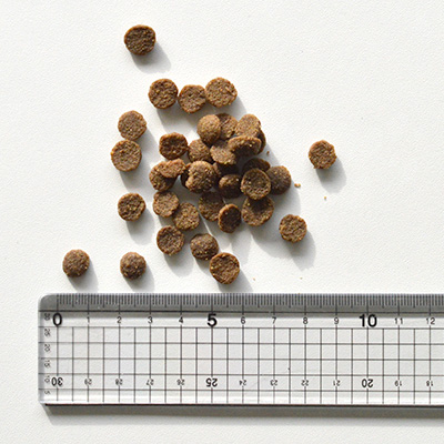 キアオラ ドッグ ラム＆サーモン KAORKLS2-00 | キアオラ | GREEN DOG