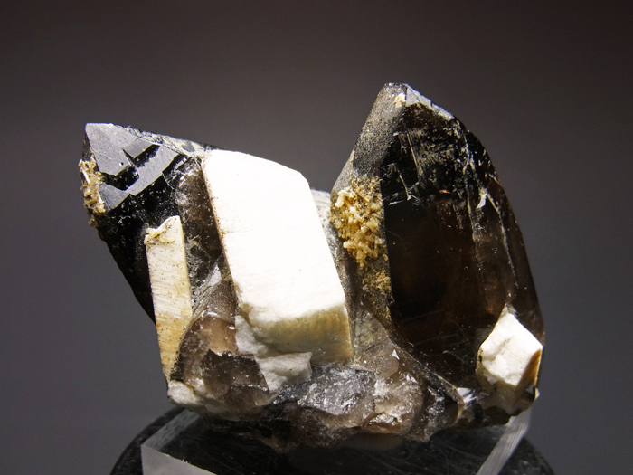 岐阜県蛭川田原産 黒水晶＆微斜長石 (Morion & Microcline / Japan