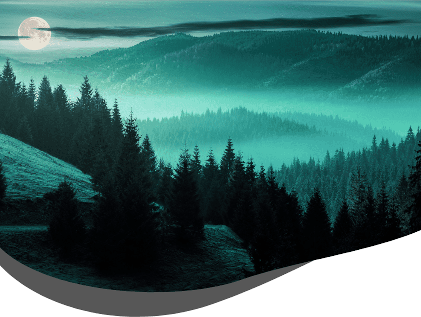 パピー ダック with ポテト｜B Wild製品一覧（ドッグフード