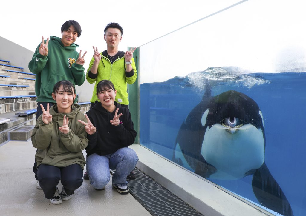 1日45名限定「シャチプレミアムプラン」開催｜鴨川シーワールド-東京