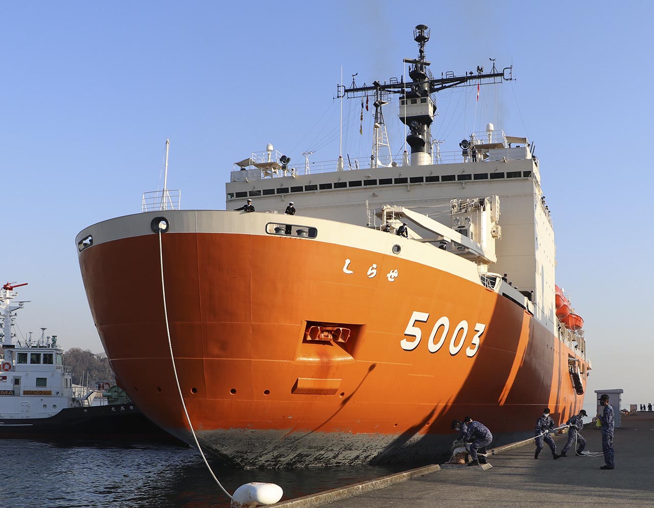 南極 南極の石 しらせ 昭和基地 南極観測船 ふじ Amazon.co.jp: 南極