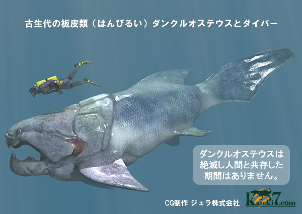 約5000万年前の魚化石ワイオミング州ディプロミスタス(Diplomyasus