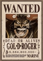 ENS-208-110 ワンピース 懸賞金55億6480万ベリー 208ピース エンスカイ