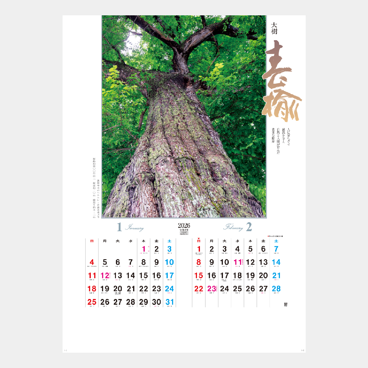 NA-134 大樹2026年版の名入れカレンダーを格安で販売 - 名入れ