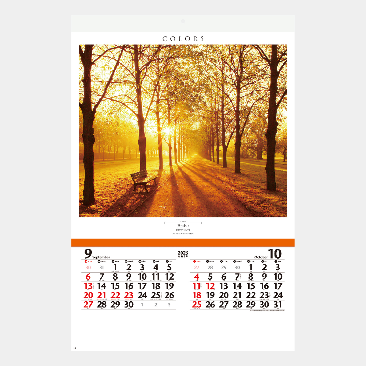 NK-415 【フィルム】カラーズ2026年版の名入れカレンダーを格安で販売