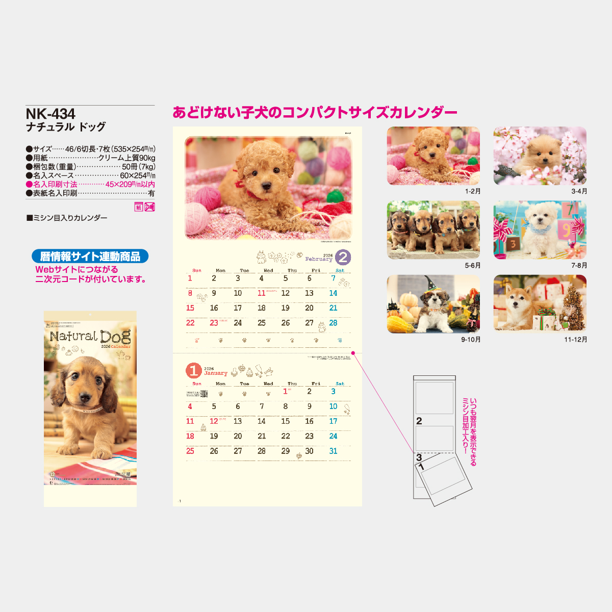 NK-434 ナチュラル ドッグ〔ミシン目入〕2026年版の名入れカレンダーを