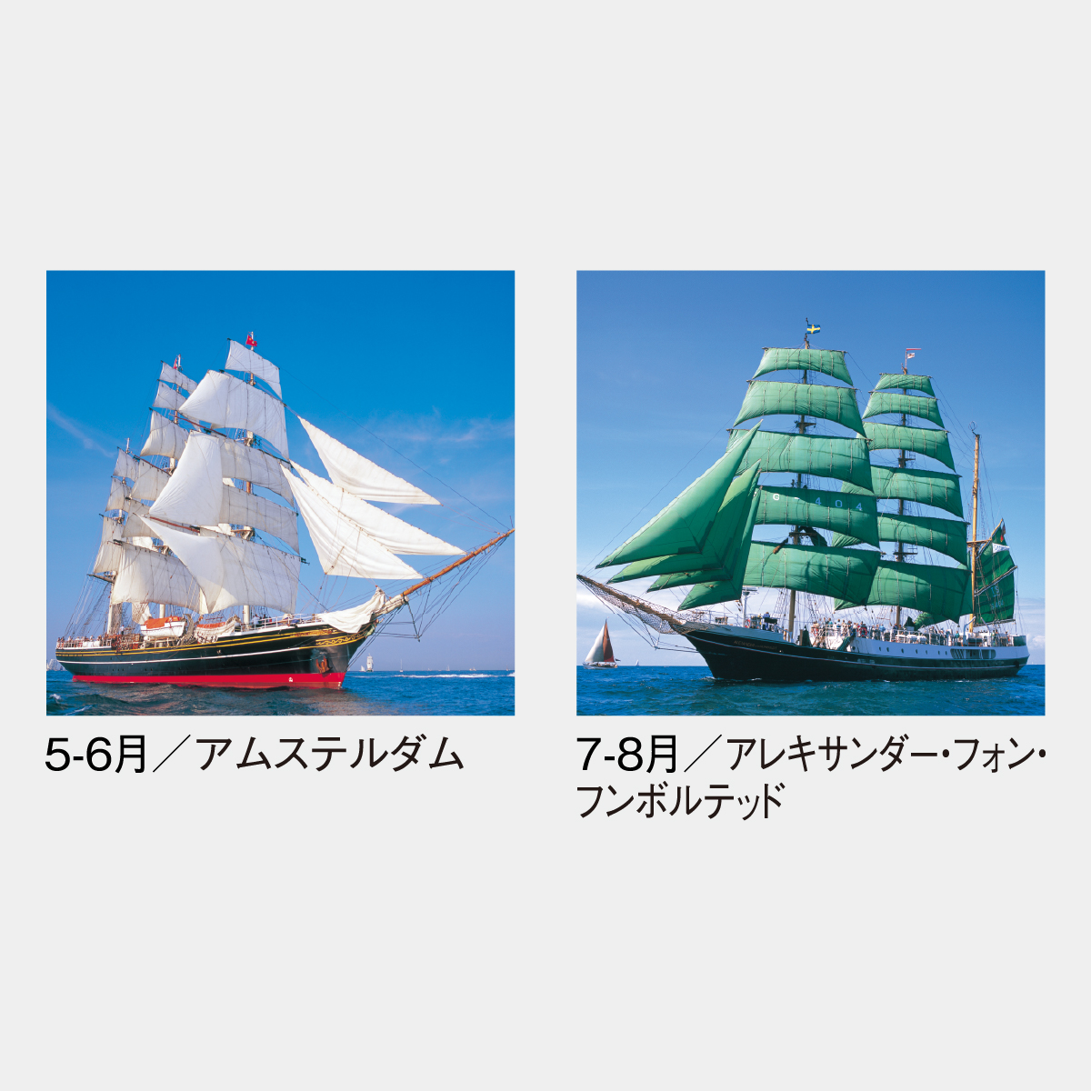 SG-511 【フィルム】世界の帆船2026年版の名入れカレンダーを格安で