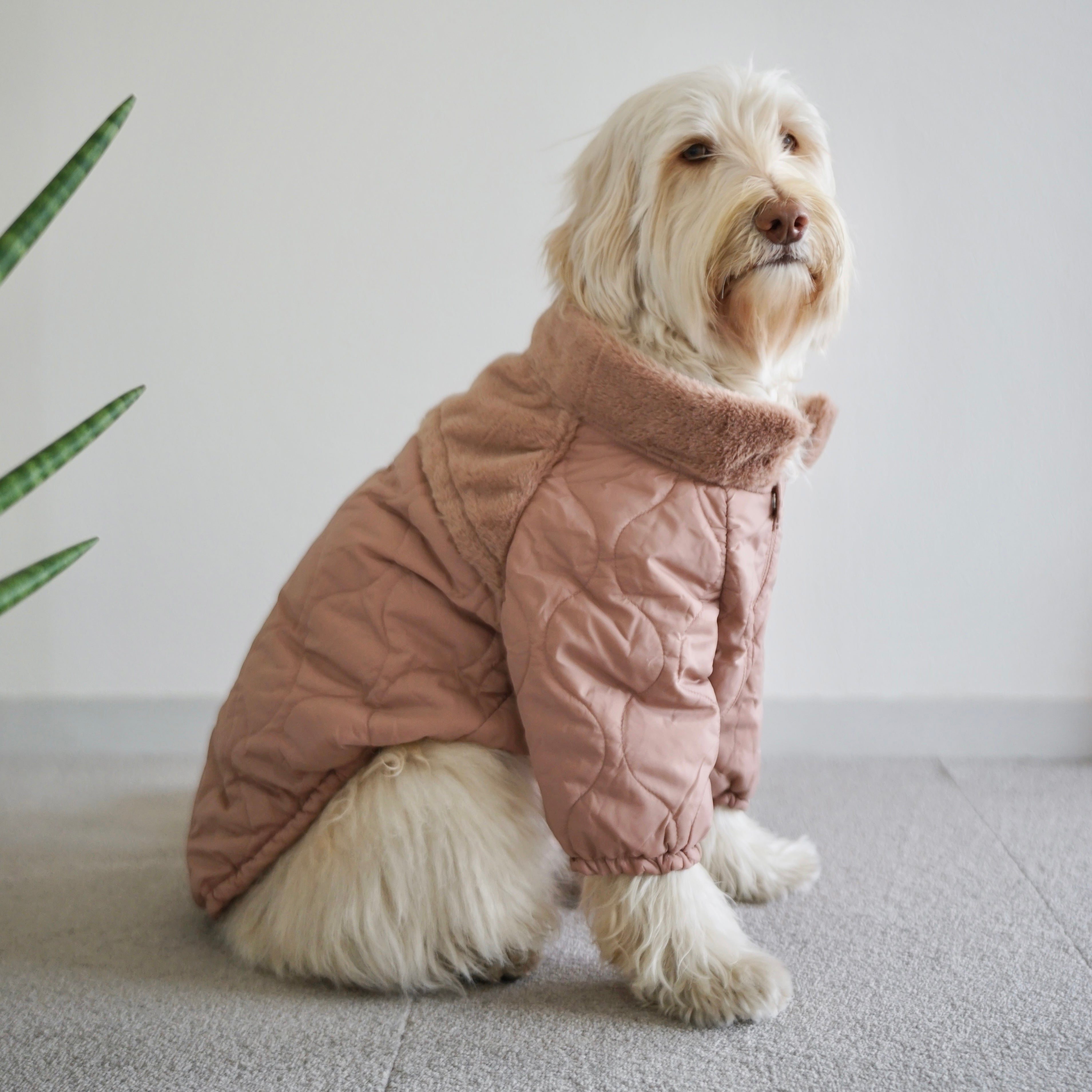 SOHO - Packable Dog Coat | Dog Apparel