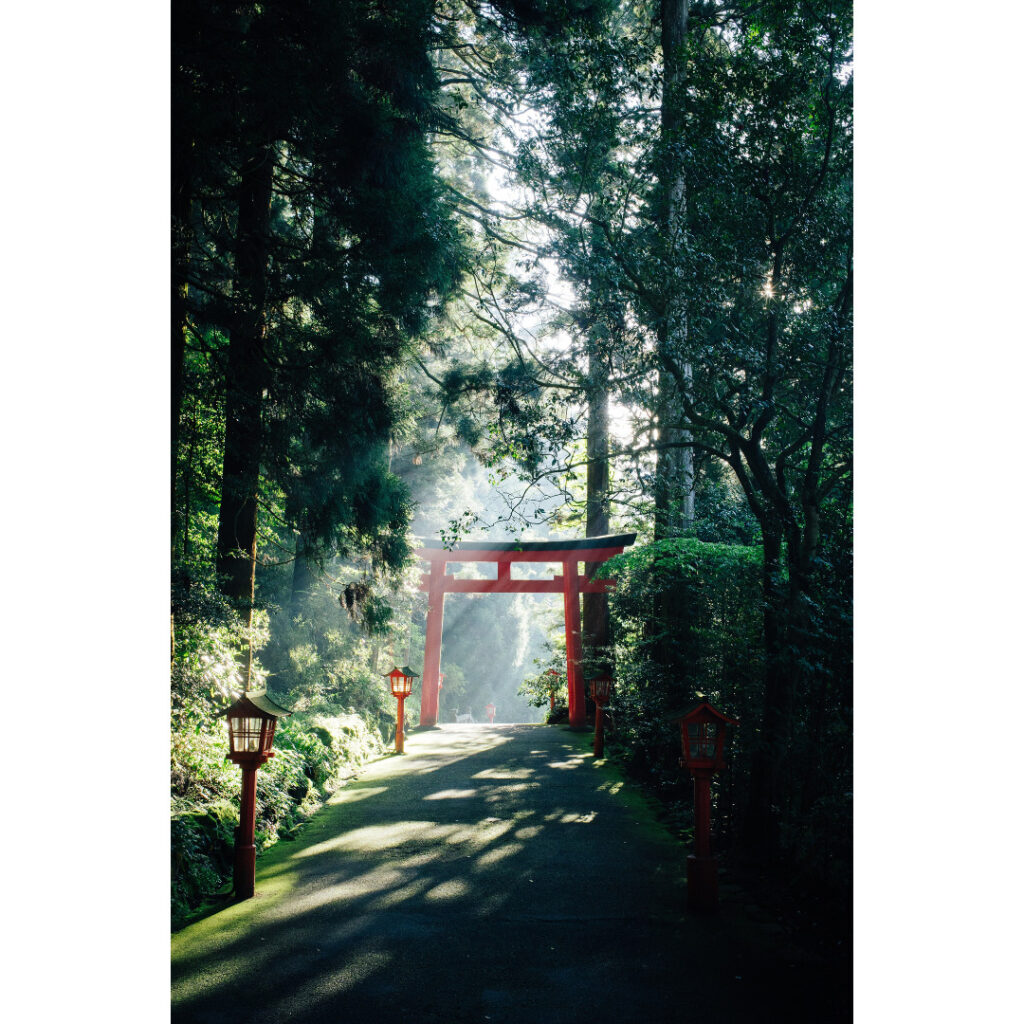 茶杓虫のお宿大徳寺桂堂