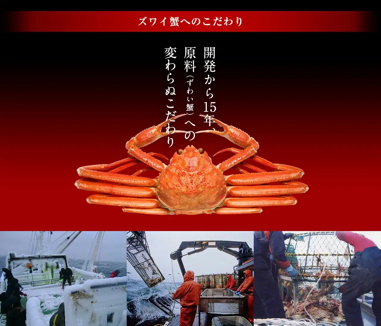 特大3L！お刺身OK カット済み生本ずわい蟹 2.4kg(1.2kg×2箱)