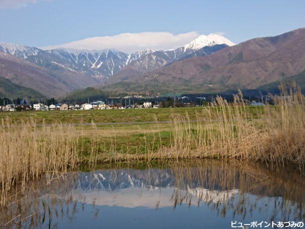 安曇野風景 ススキの候