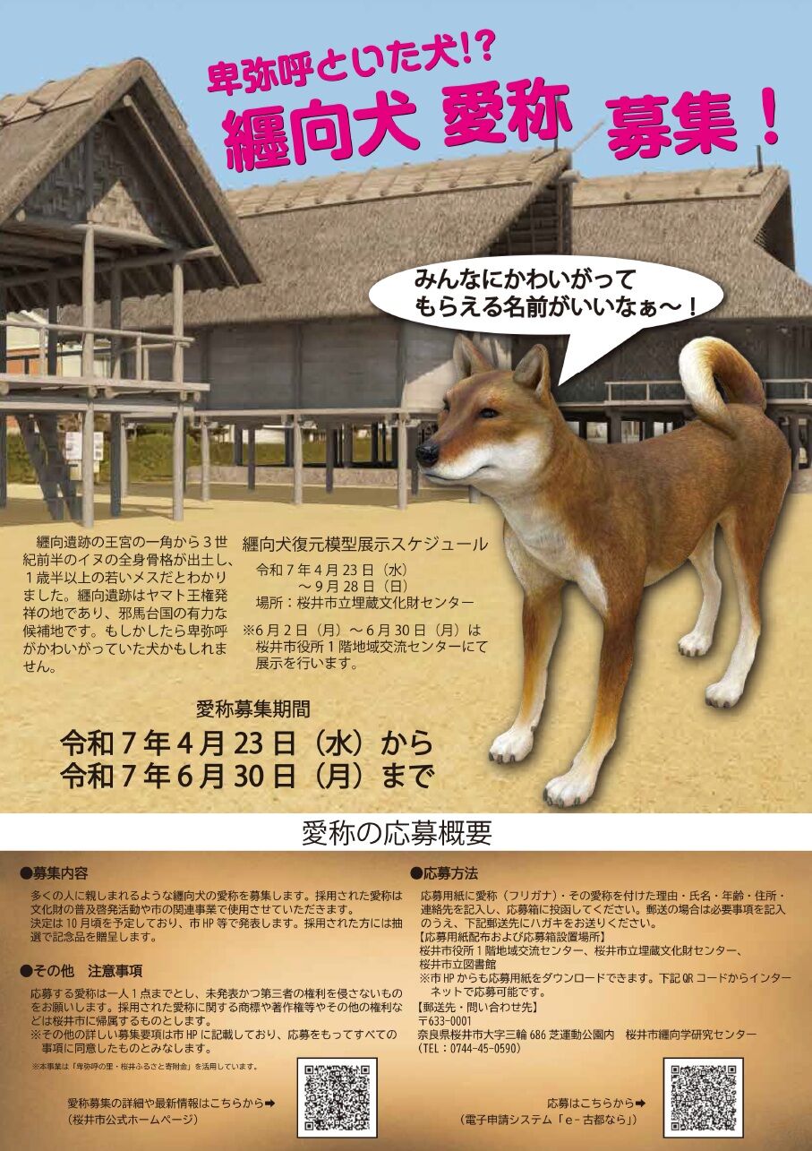 盾の国の建物(生物体) 盾の国の建物(生物体) ICADA / 岩元真明＋千種