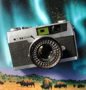 PETRI 7 - NiwataCollection