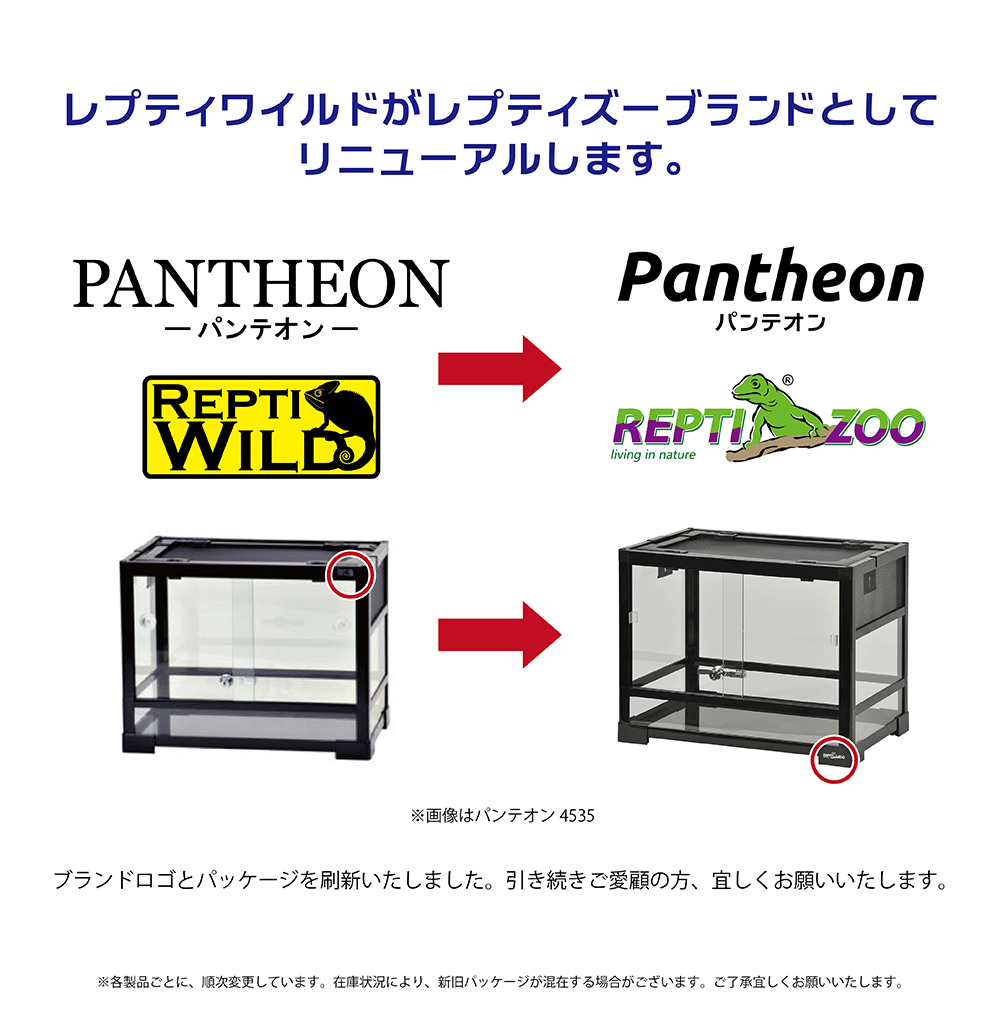 断捨離セール】パンテオン6035 ブラック 断捨離セール】パンテオン6035