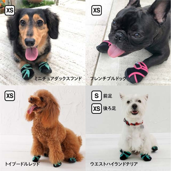 タビ型犬の靴 いぬたび スイートオレンジ 各サイズ（XS）/あにまる