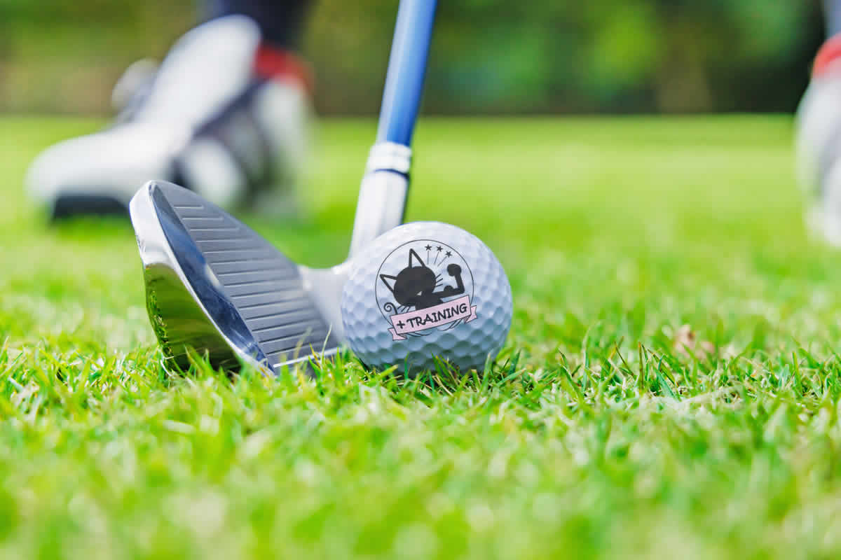 BRIEFING GOLF CRUISE COLLECTION CR-6 ブリーフィング ゴルフ