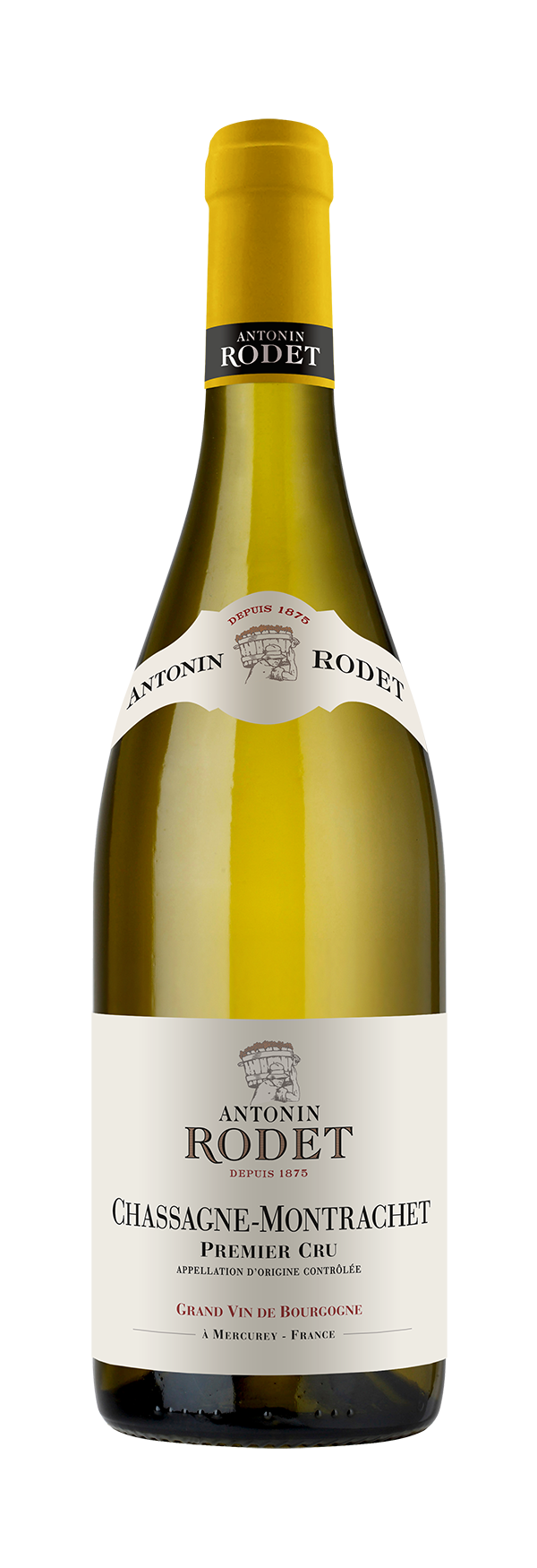 ワイン Chassagne-Montrachet Premier Cru 2010 2010 Paul Pillot Chassagne-Montrachet 1er Cru Les Caillerets