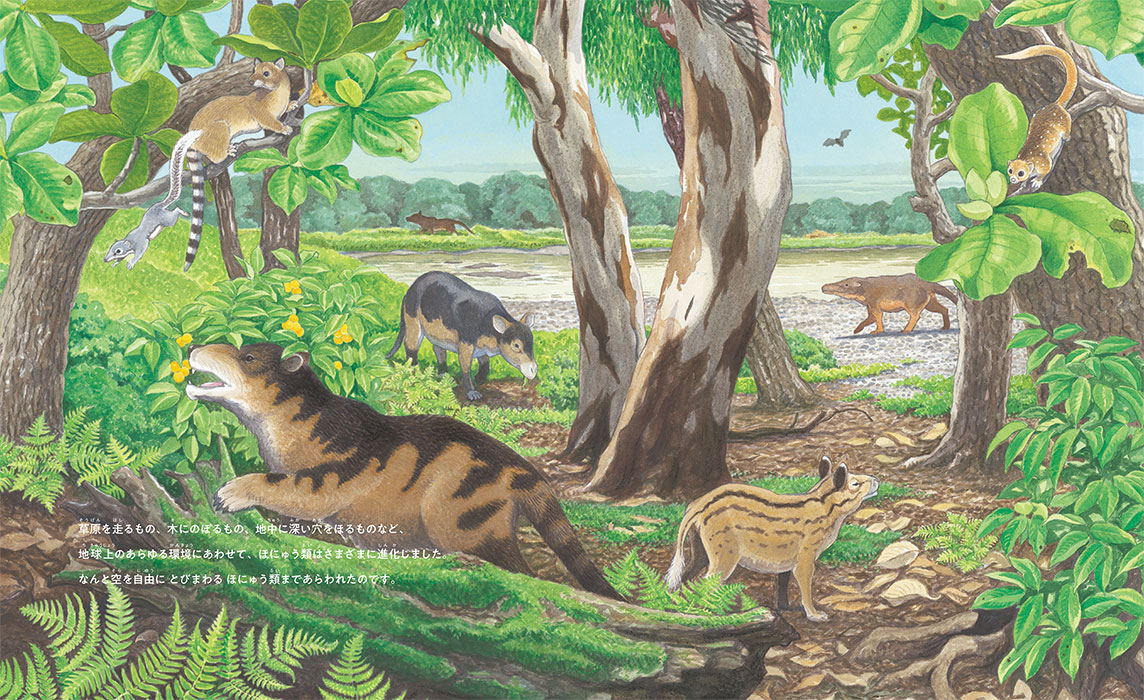 海でつばさを手に入れる 5300万年前に始まったクジラの挑戦 | 株式会社