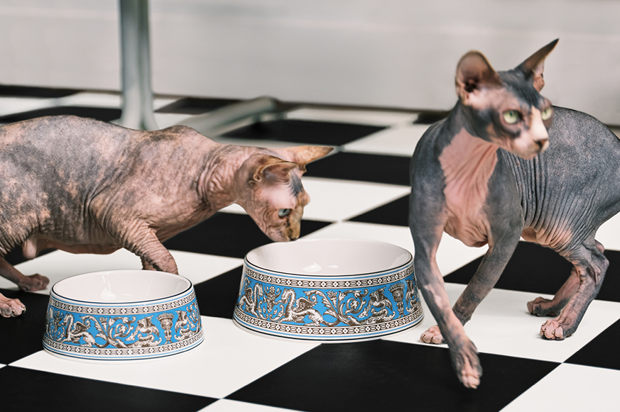 BECAUSE WE ALL DESERVE A LITTLE LUXURY フロレンティーン ペット