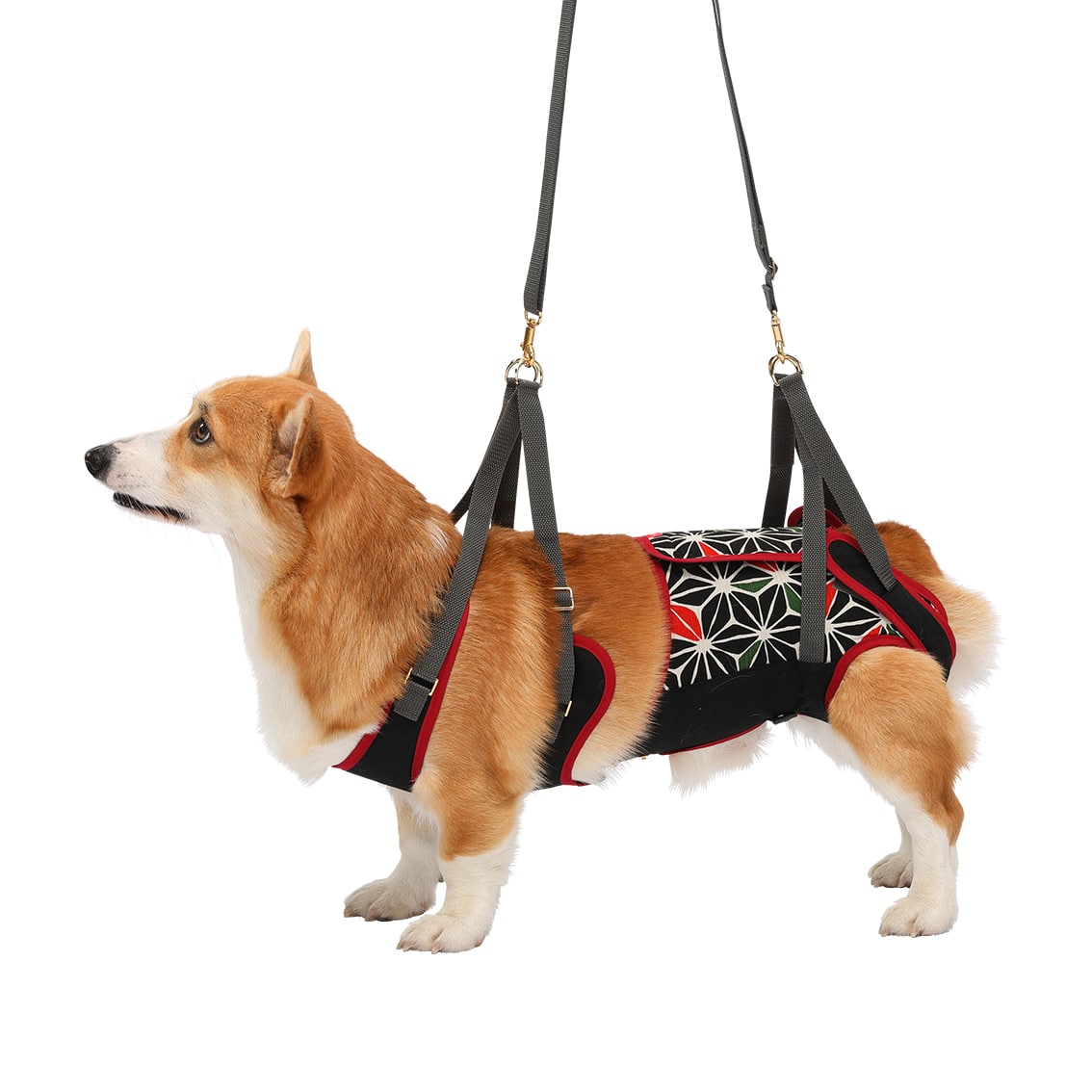 中型犬用 KABUKI | 歩行補助ハーネス LaLaWalk
