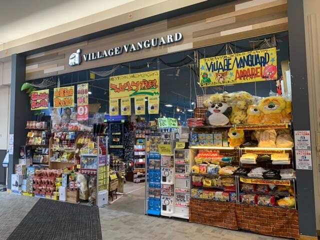 ヴィレッジヴァンガード イオンモール高岡店 | 店舗一覧 | ヴィレッジ