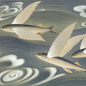 大野麥風 | 美術作品 | 山田書店美術部オンラインストア