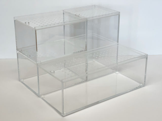 爬虫類 昆虫類 オーダーメイド飼育ケース - アクリル加工屋