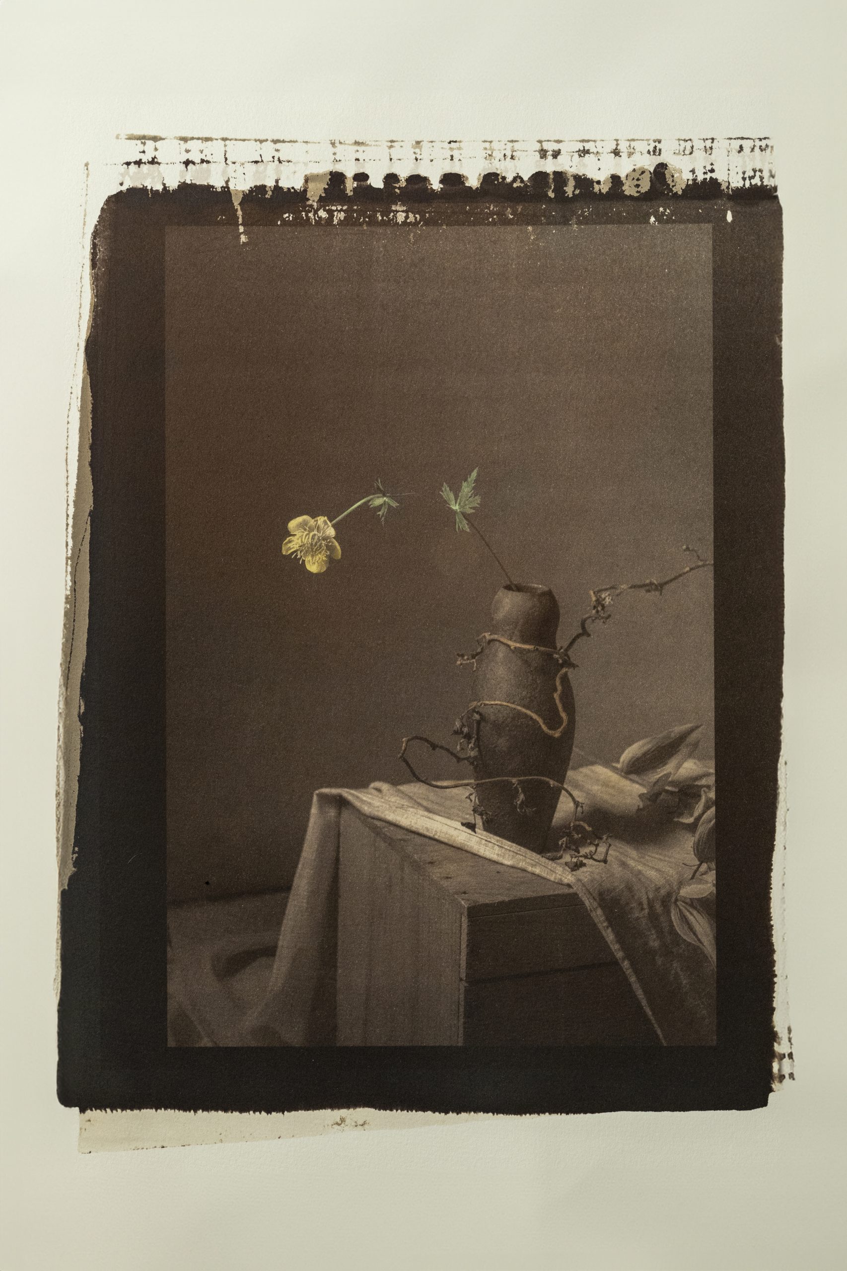 緑だらけの作品F10号ボード同じ緑でも色んな色や形がある！小楠アキコ作品