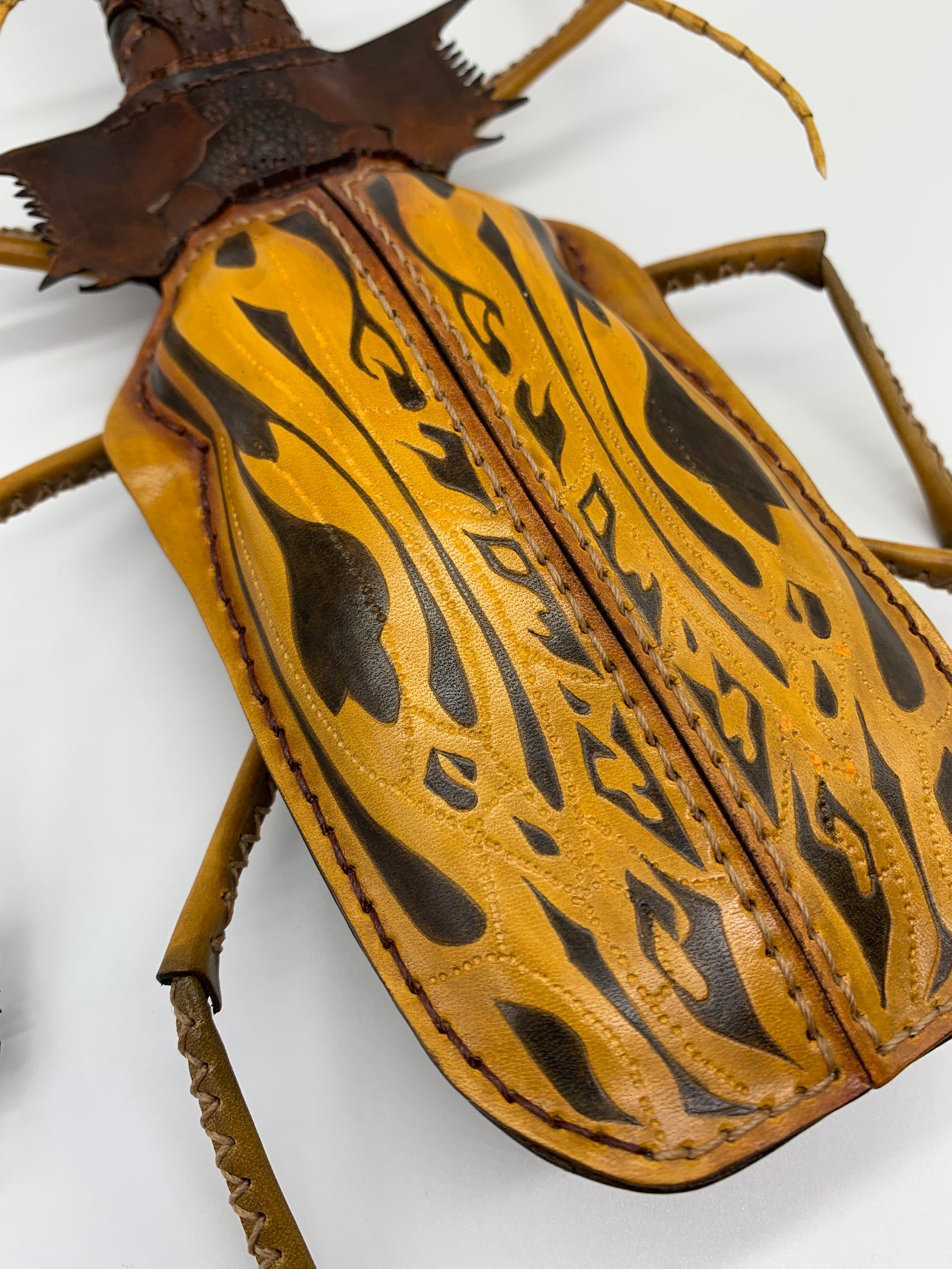 公式 ペルー産 クレナータオオキバウスバカミキリ 75mm ペルー産 ク