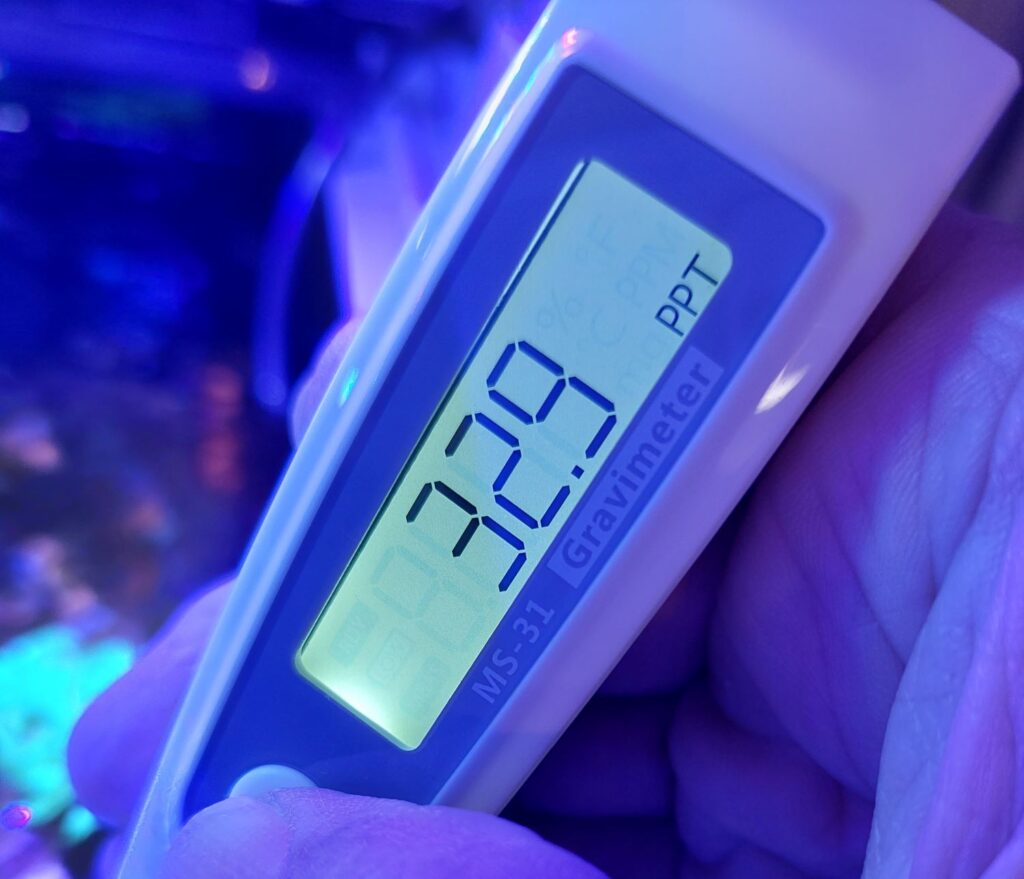 アクアギーク】デジタル塩分濃度計MS-31の使用感は❔ | aqua-eyes